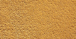 Carpet Covering