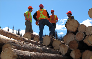 Dunkley workers on logs
