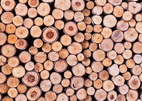 Guide to Characteristics of Quality Lumber