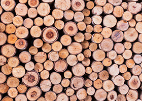 Guide to Characteristics of Quality Lumber
