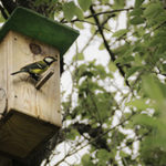 Birdhouse Made From Lumber