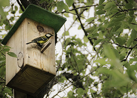 Birdhouse Made From Lumber